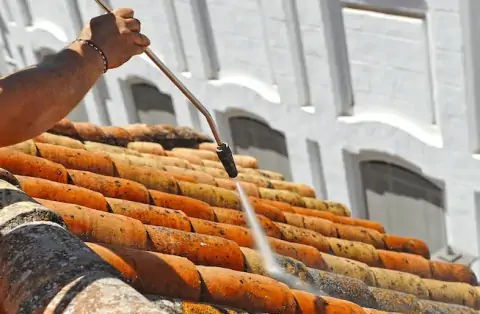 Nettoyage de toitures - Louailles